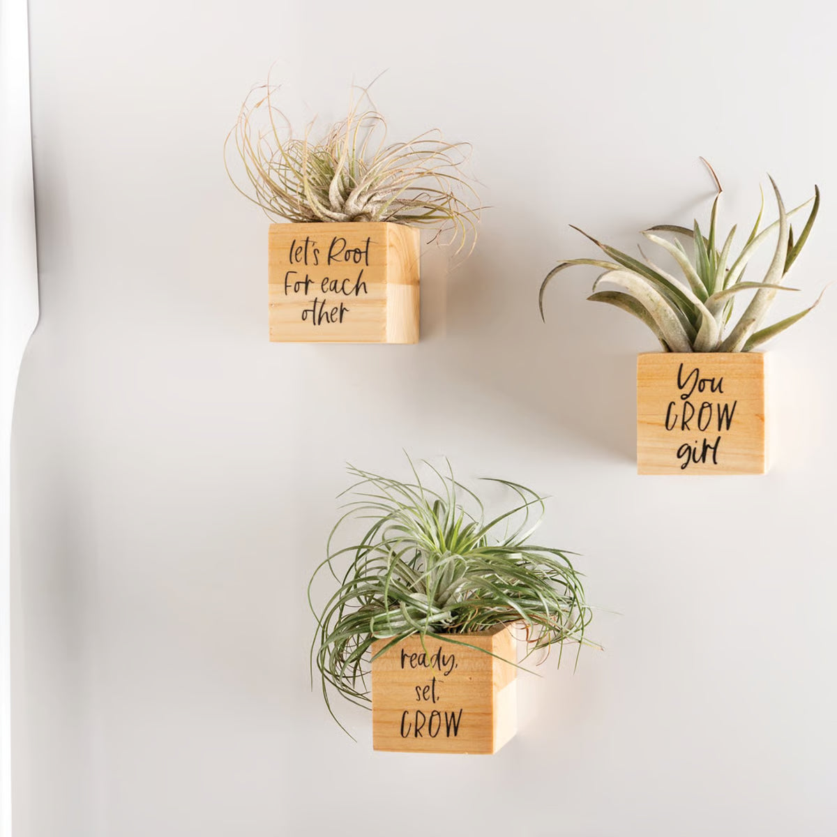 You Grow Planter Magnet Set