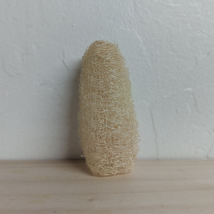 Loofah - Small