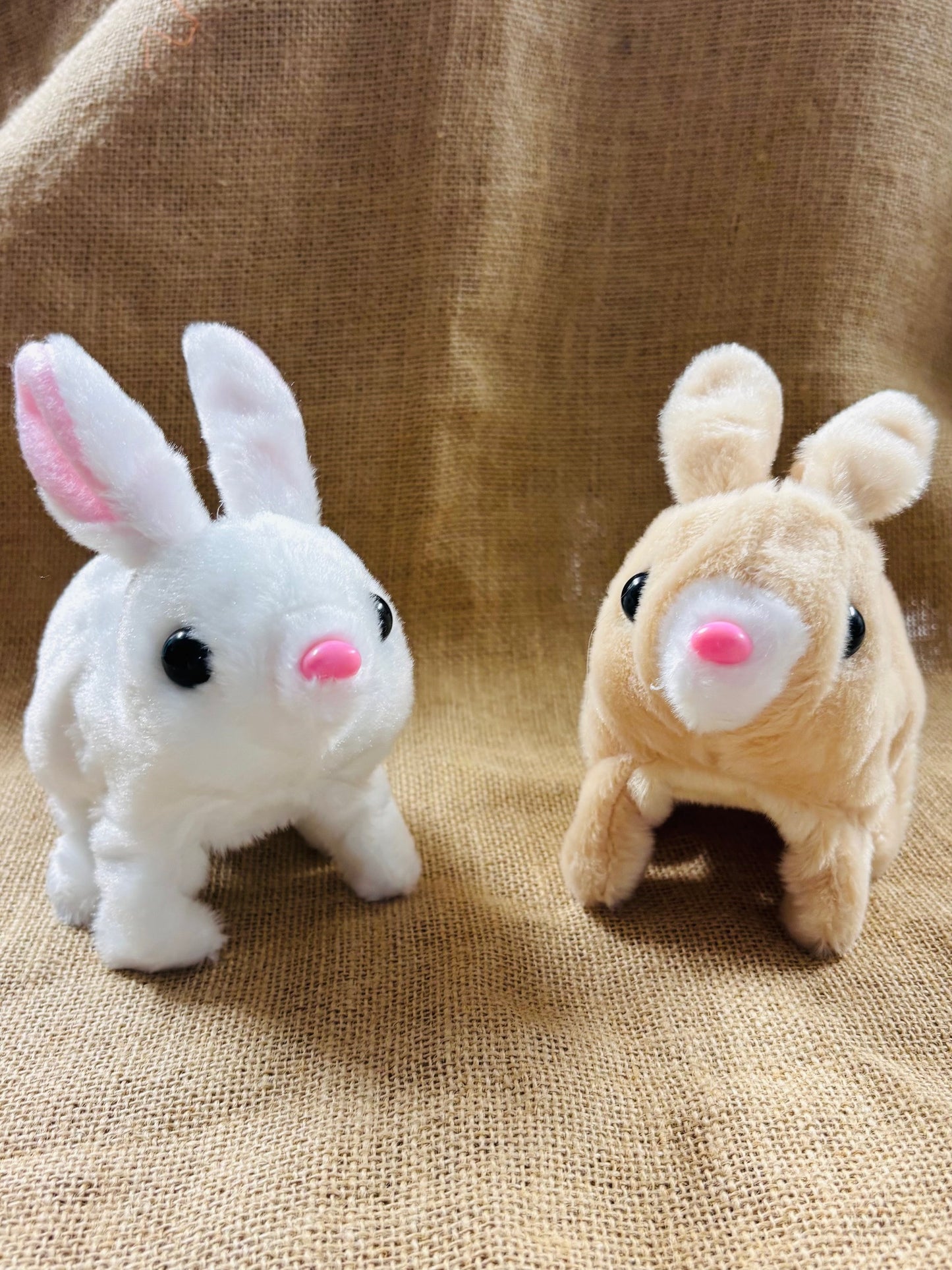 Hopping Bunnies