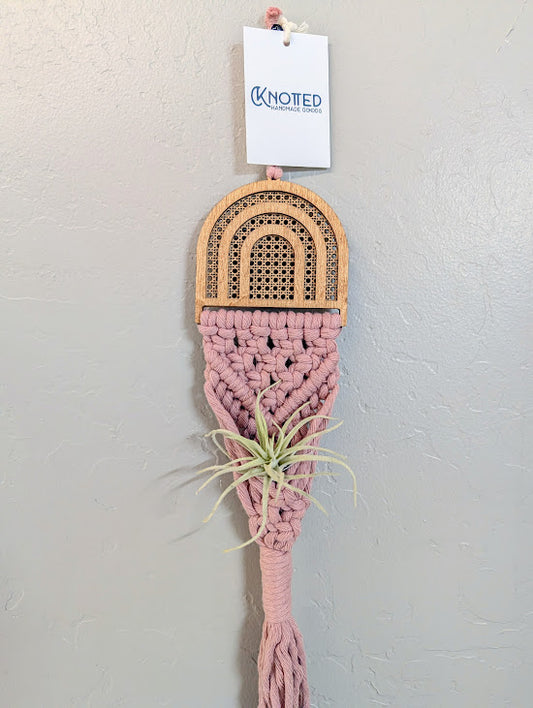Rattan Air Plant Hangers Blush