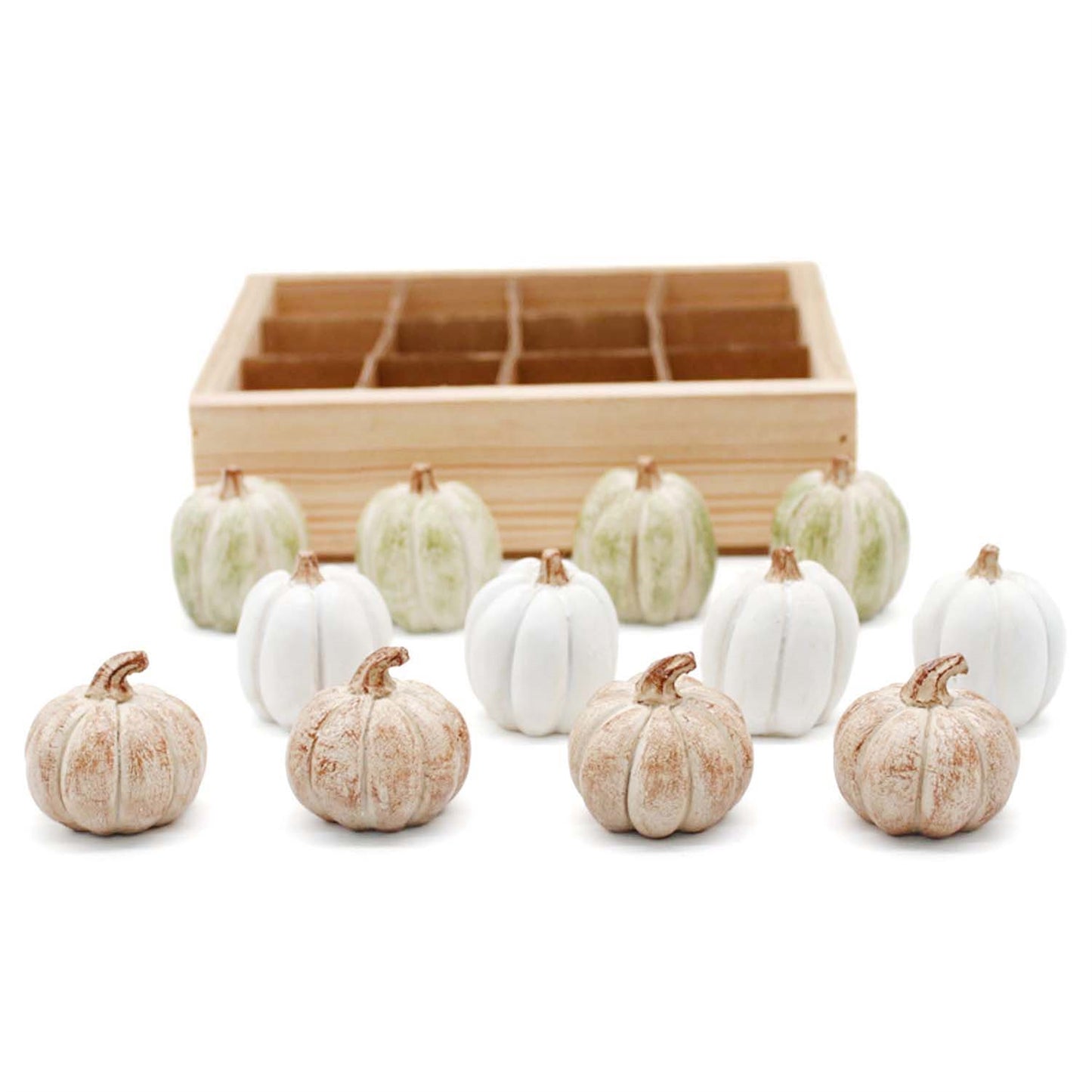 Small White, Tan, and Green Mini Pumpkins