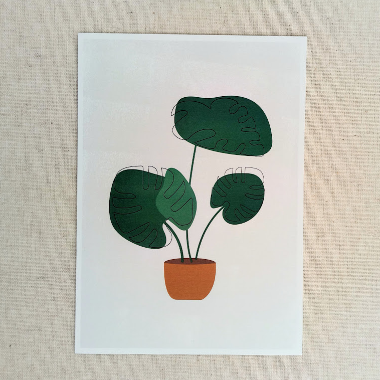 Assorted 5" x 7" Print