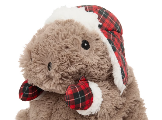 Cozy Capybara Warmies