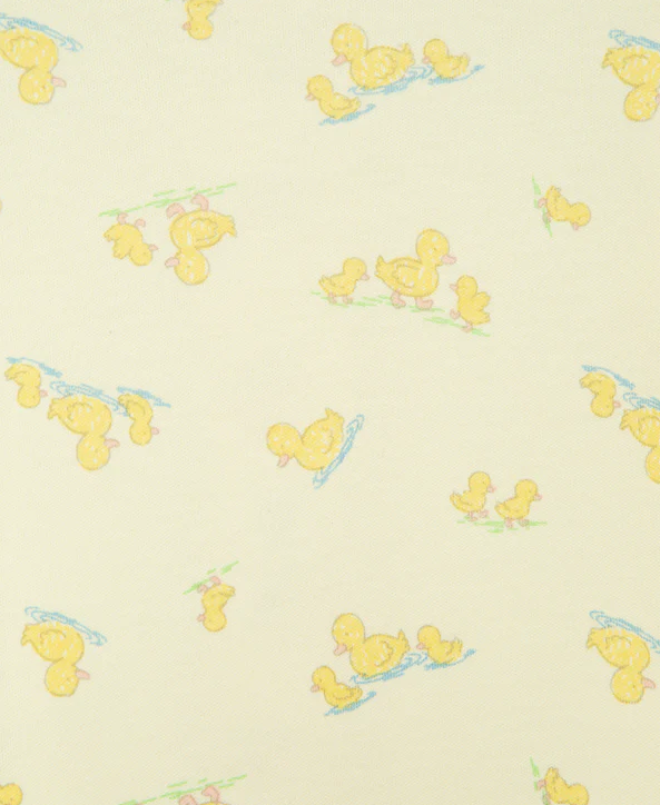 Little Ducks Footie w/ Bib