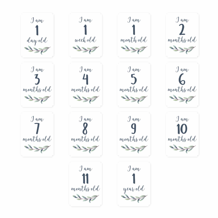 Lulujo Baby’s First Year – “Hello World”