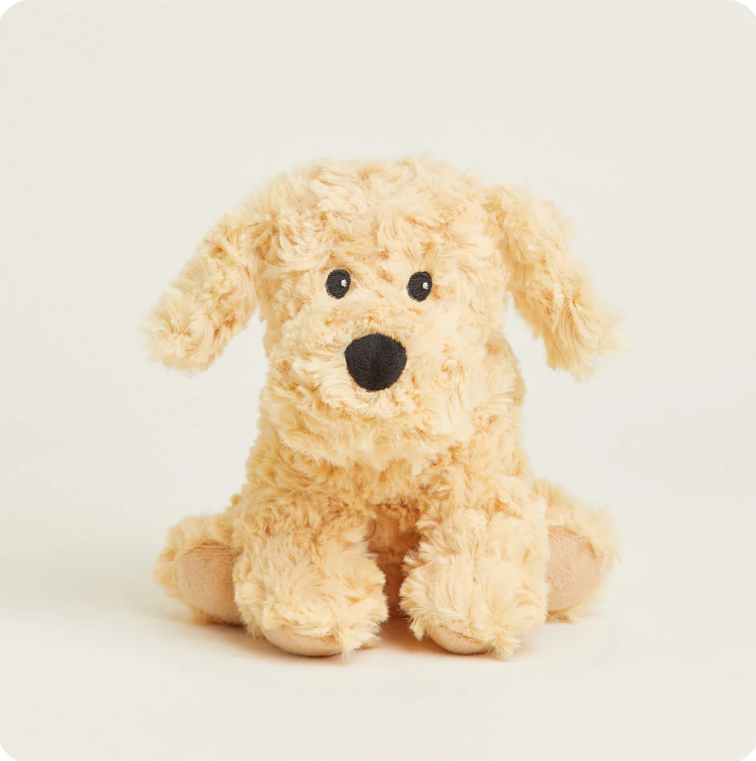 Golden Dog Warmies Junior