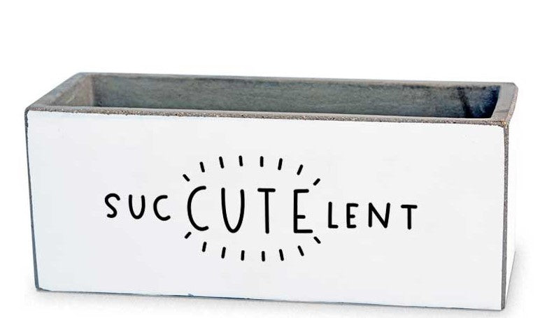 Suc-cute-lent