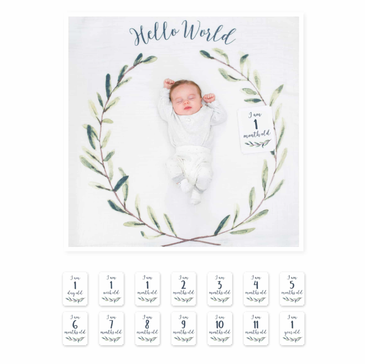 Lulujo Baby’s First Year – “Hello World”