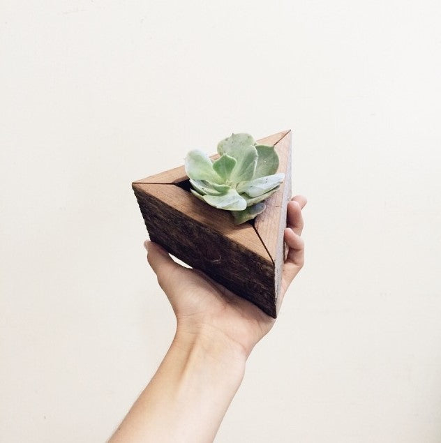 triangle succulent planter Triangle Small, Reclaimed Wood Planter – Whimsy Boutique