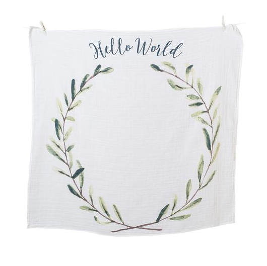 Lulujo Baby’s First Year – “Hello World”