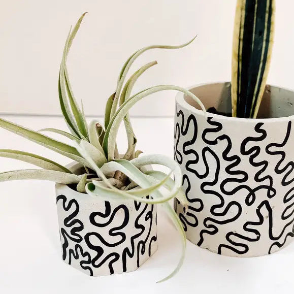 Squiggle Painted Planter Small