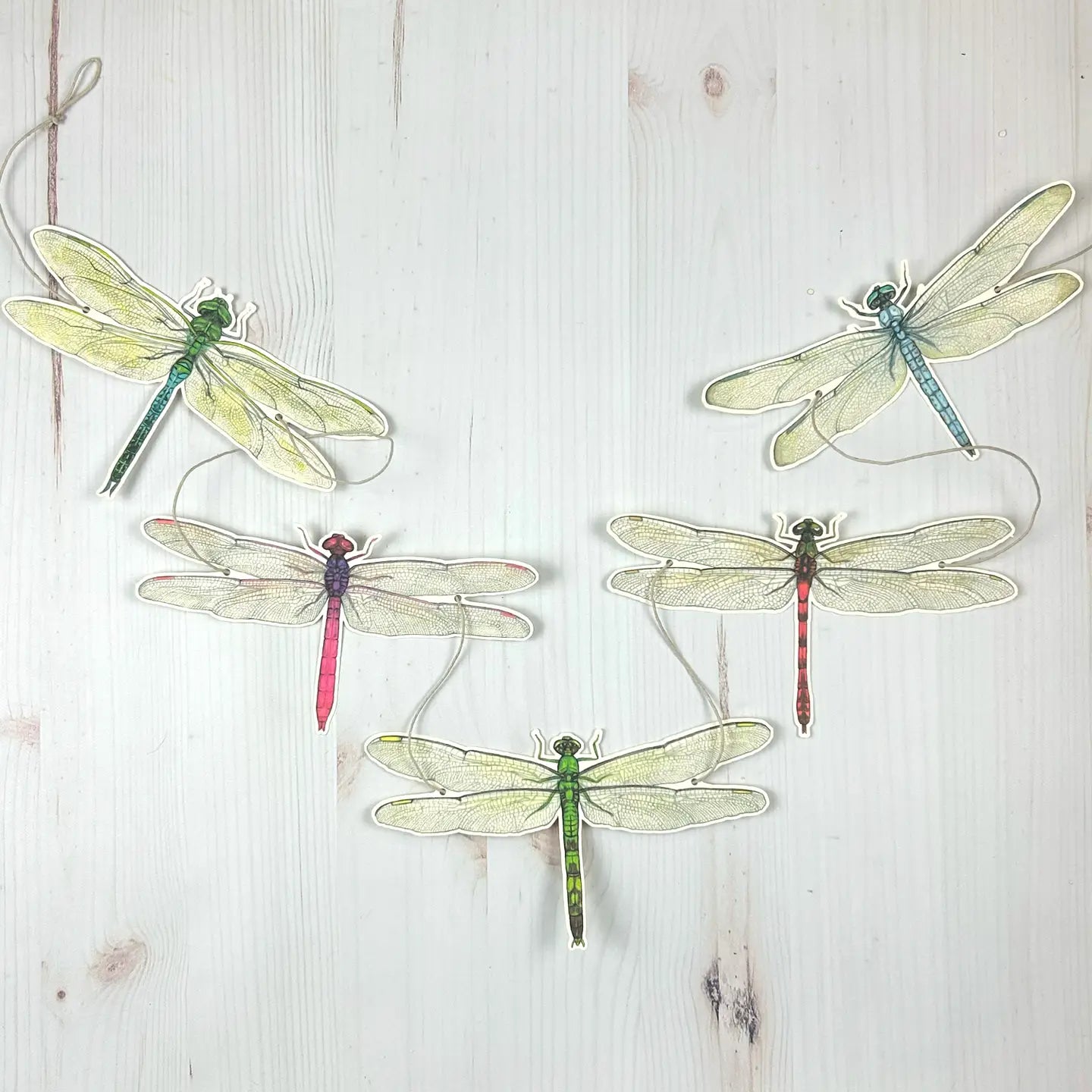 Dragonfly Illustrated Garland