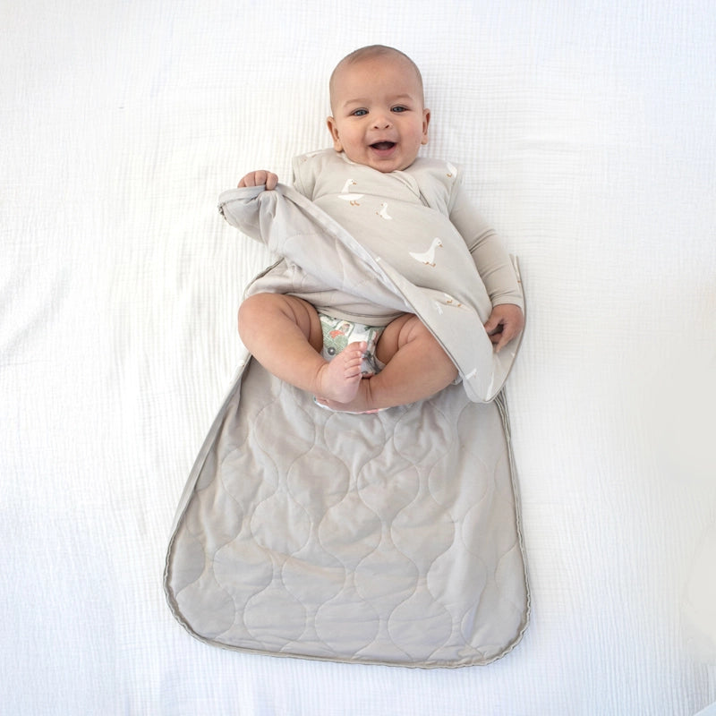 Goose Sleep Bag 1.0 3-9m