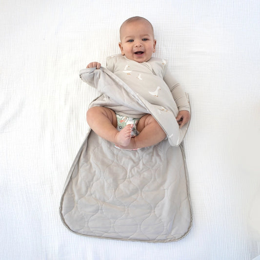 Goose Sleep Bag 1.0 3-9m