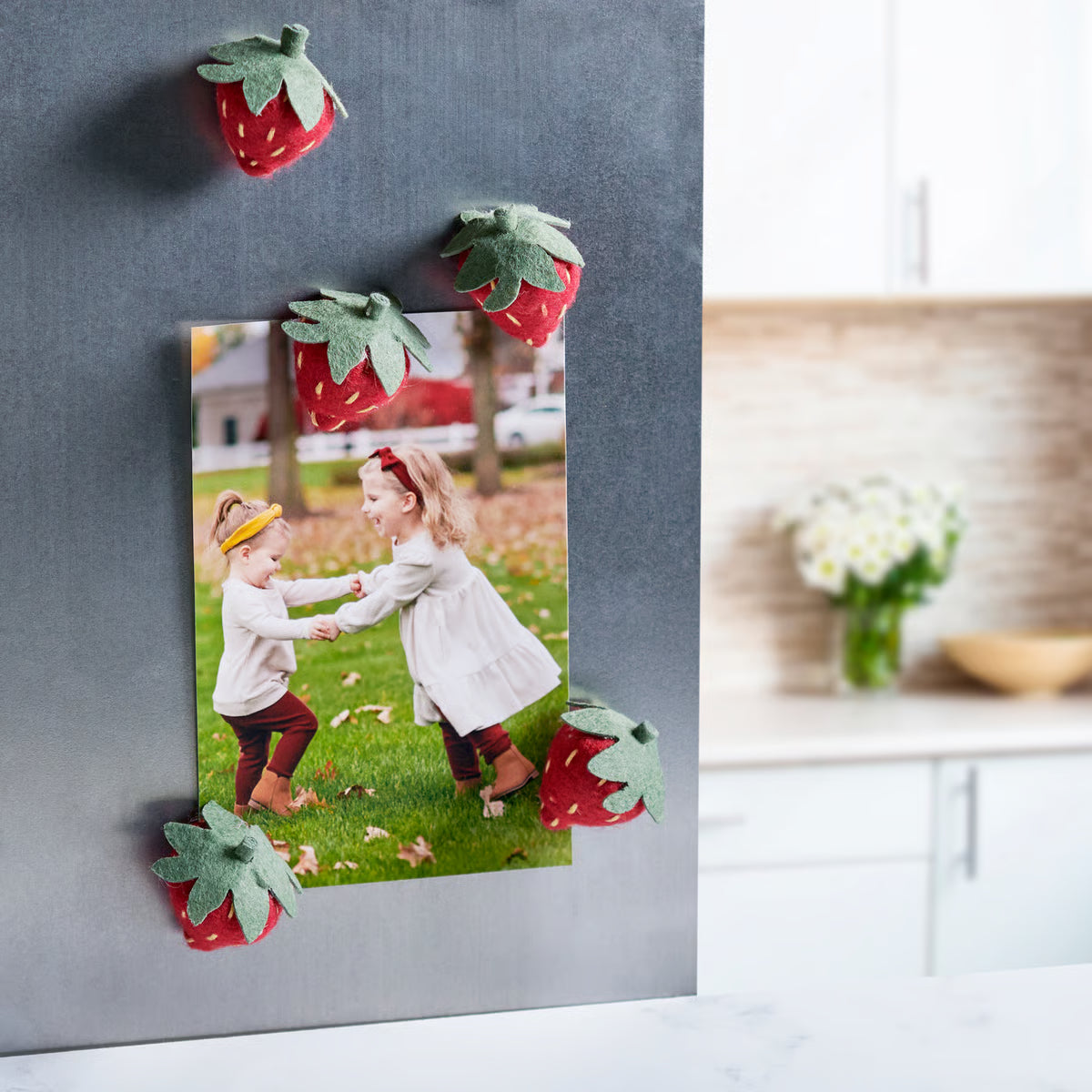 Felt Strawberry Magnet Set