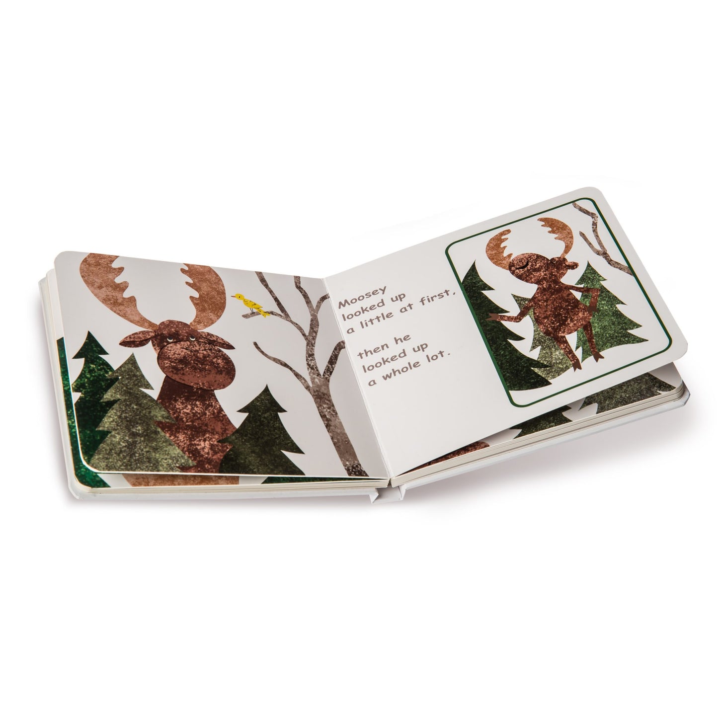 How to Hide a Moose Book