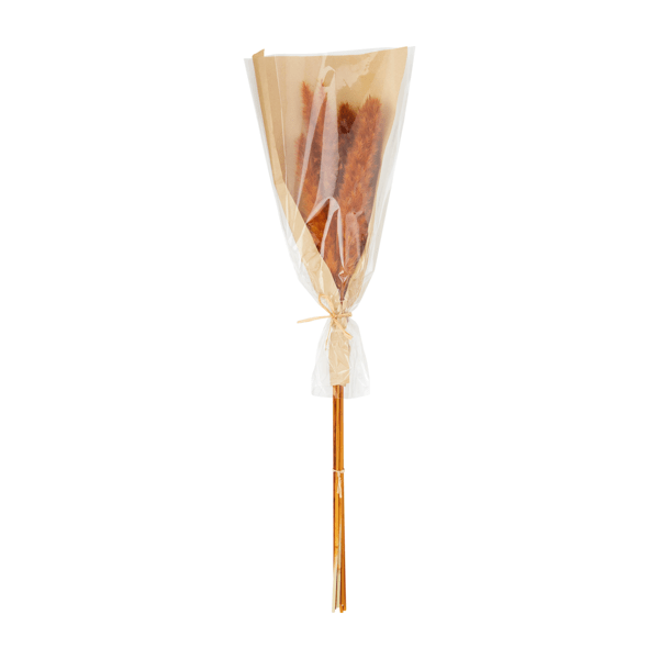 Red Preserved Pampas