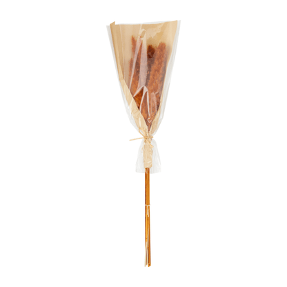 Red Preserved Pampas