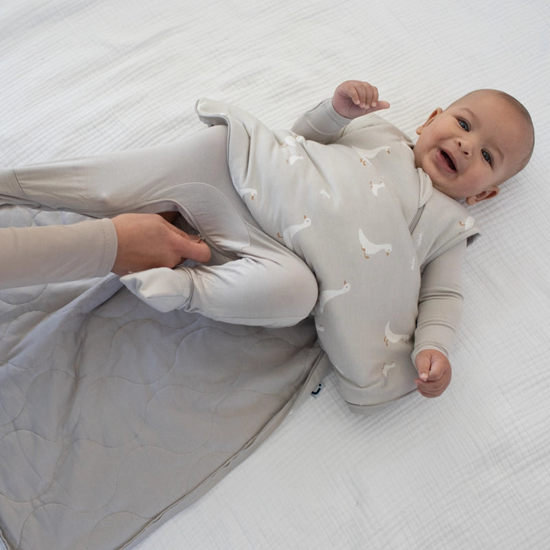 Goose Sleep Bag 1.0 3-9m