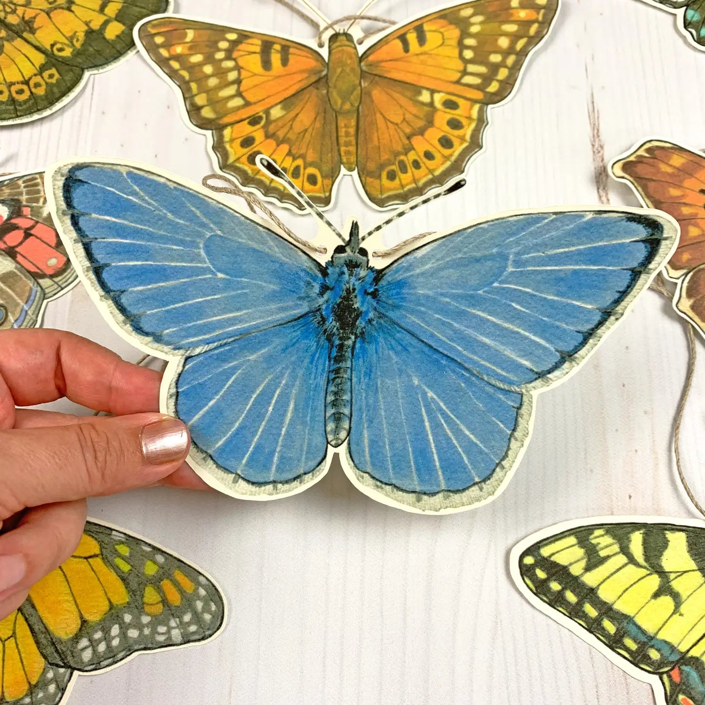 Eastern U.S. Native Butterfly Illustrated Garland