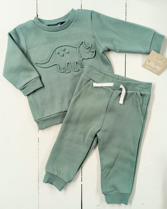 Dino Sweatshirt Set