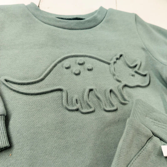 Dino Sweatshirt Set