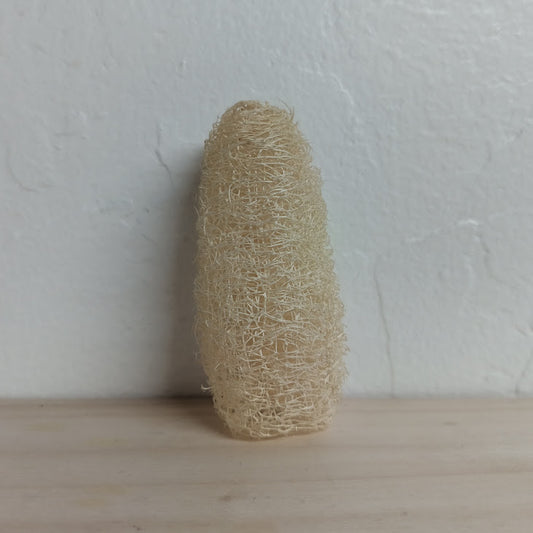 Loofah - Small