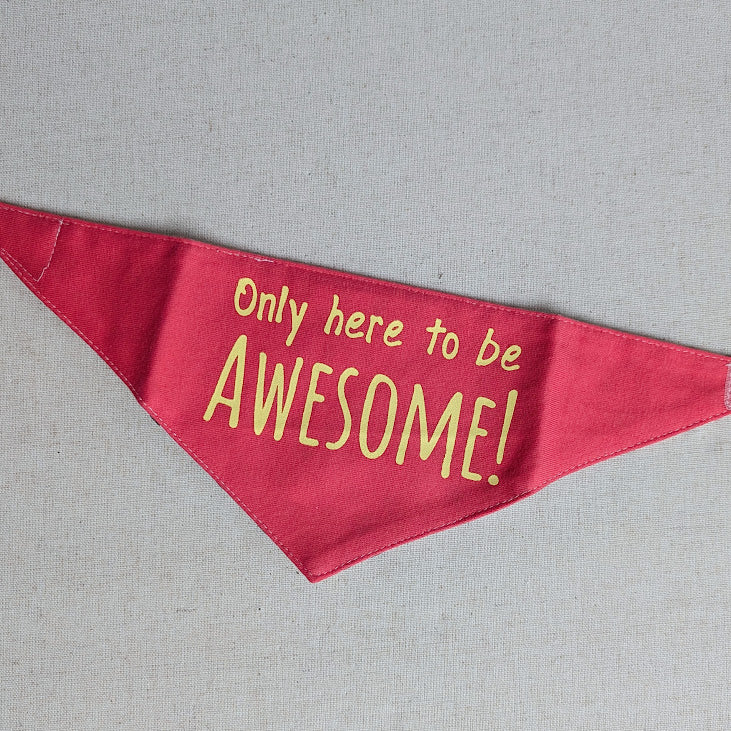 Cotton Bandana Bibs