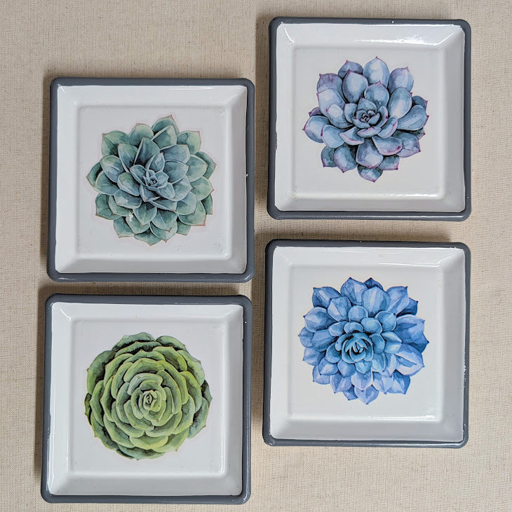 Succulent Trinket Dish