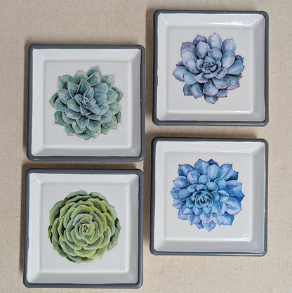 Succulent Trinket Dish