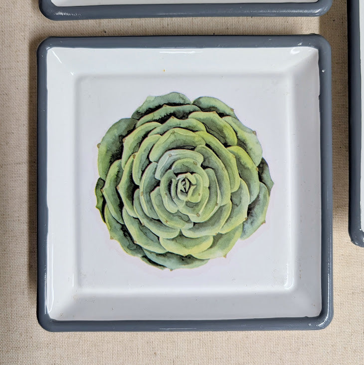 Succulent Trinket Dish