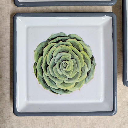 Succulent Trinket Dish