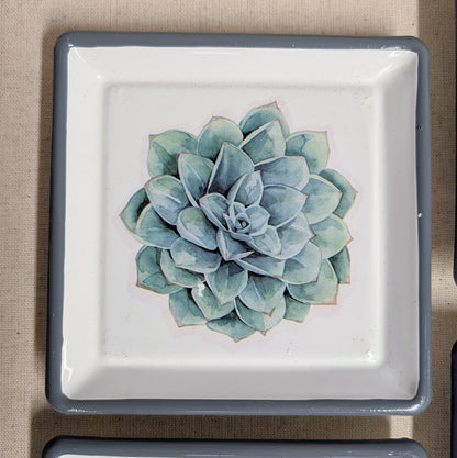 Succulent Trinket Dish