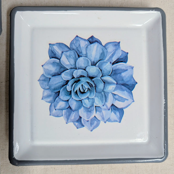 Succulent Trinket Dish
