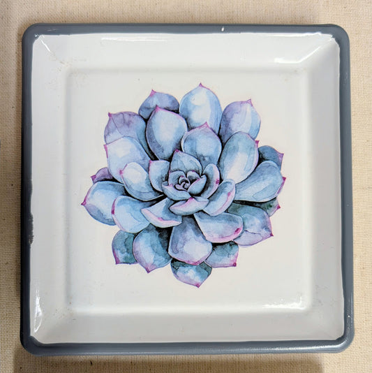 Succulent Trinket Dish