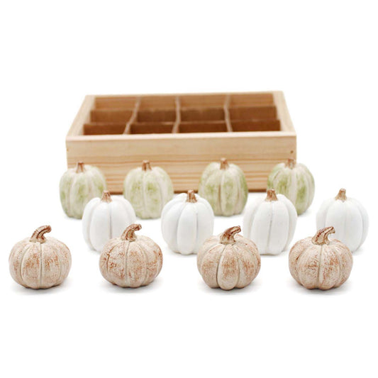 Small White, Tan, and Green Mini Pumpkins