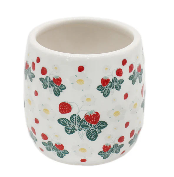 Small Strawberry Planter