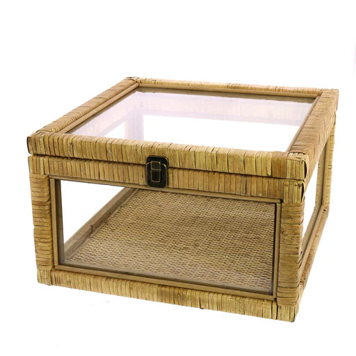 Cayman Rattan & Glass Case