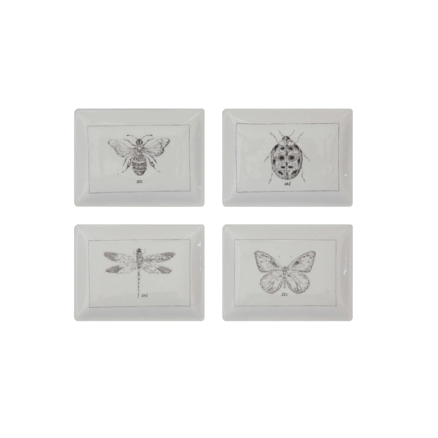 Ceramic Dish with Insect, 4 Styles
