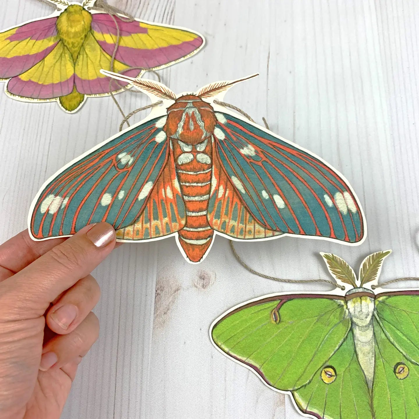 Colorful Moth Illustrated Garland