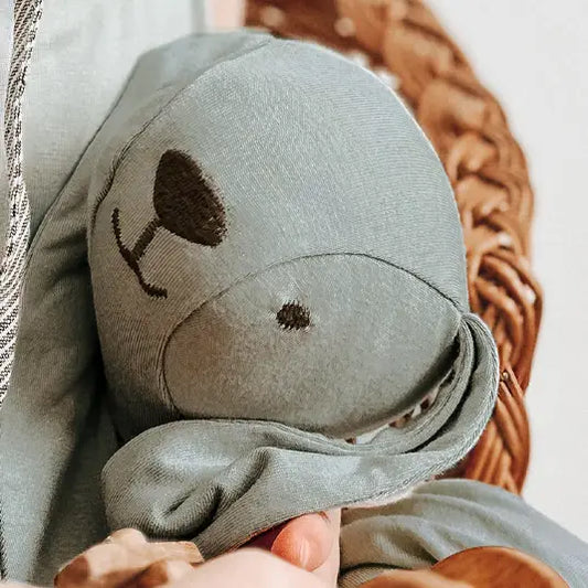 Lovey Bunny