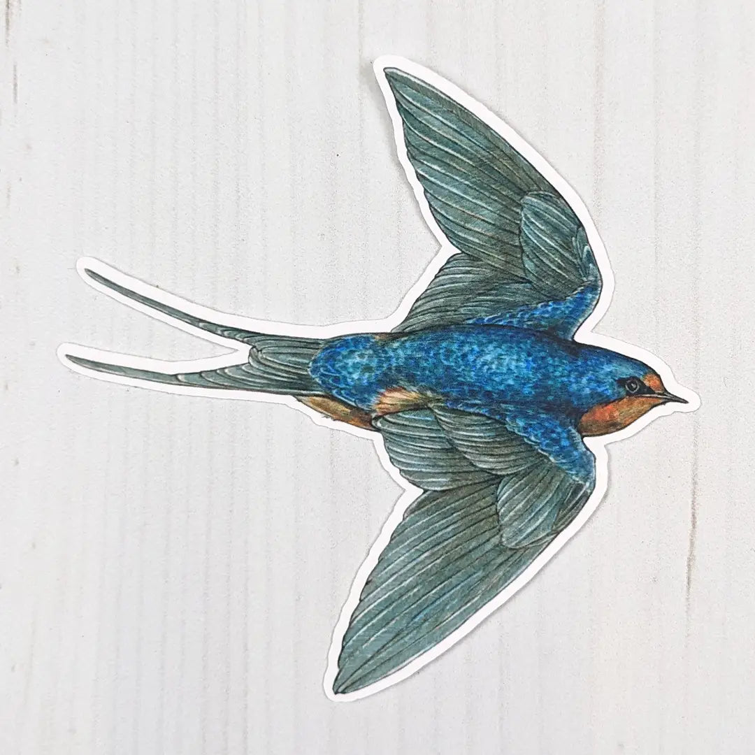 Barn Swallow Matte Vinyl Sticker