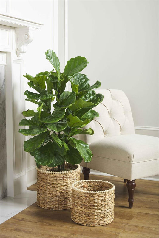 Hyacinth Beaded Basket Set