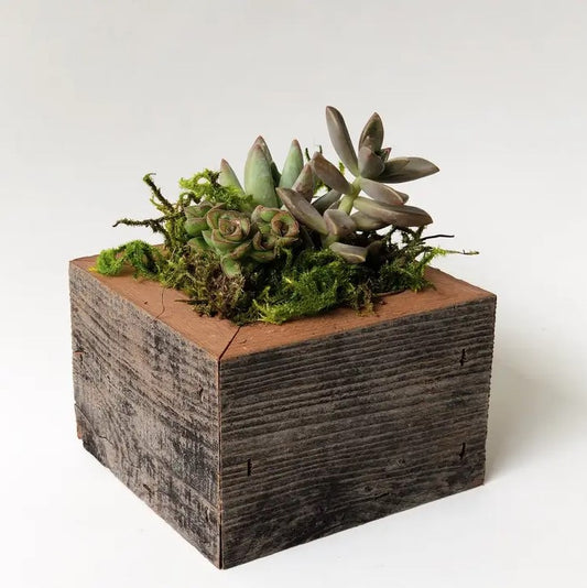 2x2 Reclaimed wood Planter box