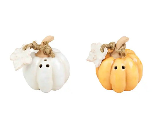 Pumpkin Salt & Pepper Shaker Set