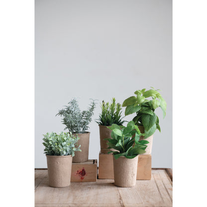 Faux Herb in Paper Pot, 5 Styles