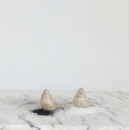 Debossed Stoneware Bird Salt & Peppet Set