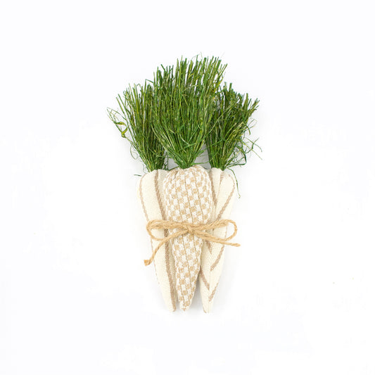 Pattern Plush Carrot Bundle