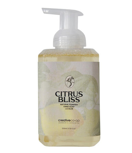 Citrus Bliss Scented Natural Foaming Hand Soap with Aloe