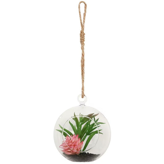 Ash Ball Terrarium